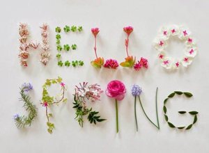 Hello to Spring...